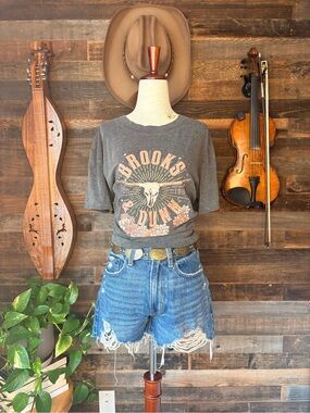 Brooks & Dunn Graphic Tee
